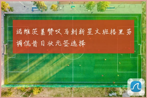 诺维茨基赞叹马刺新星文班格里芬调侃昔日状元签选择