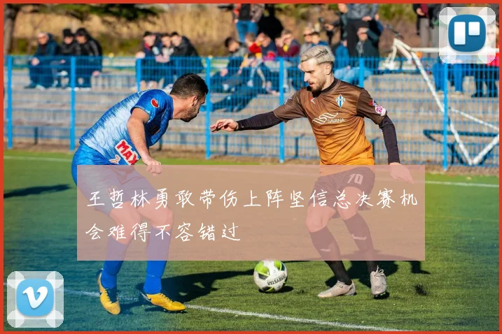 王哲林勇敢带伤上阵坚信总决赛机会难得不容错过
