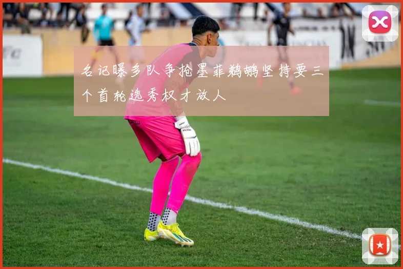名记曝多队争抢墨菲鹈鹕坚持要三个首轮选秀权才放人